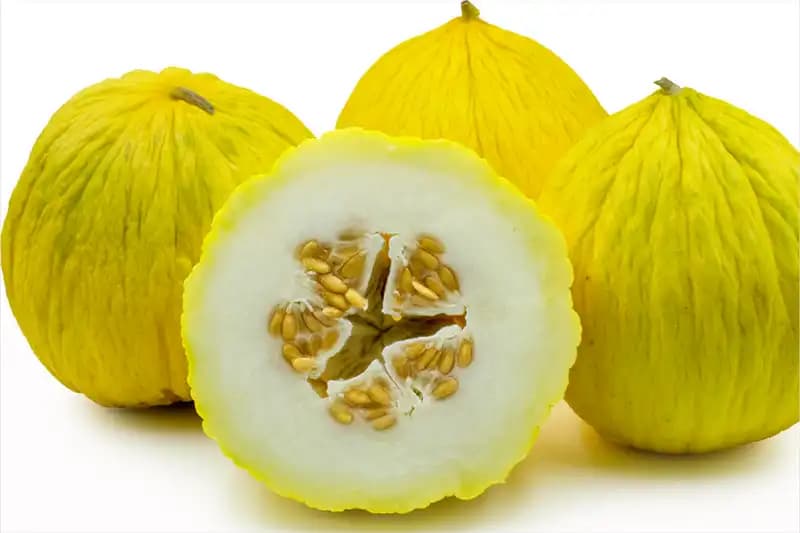 Melons