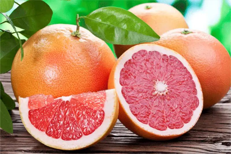 Citrus
