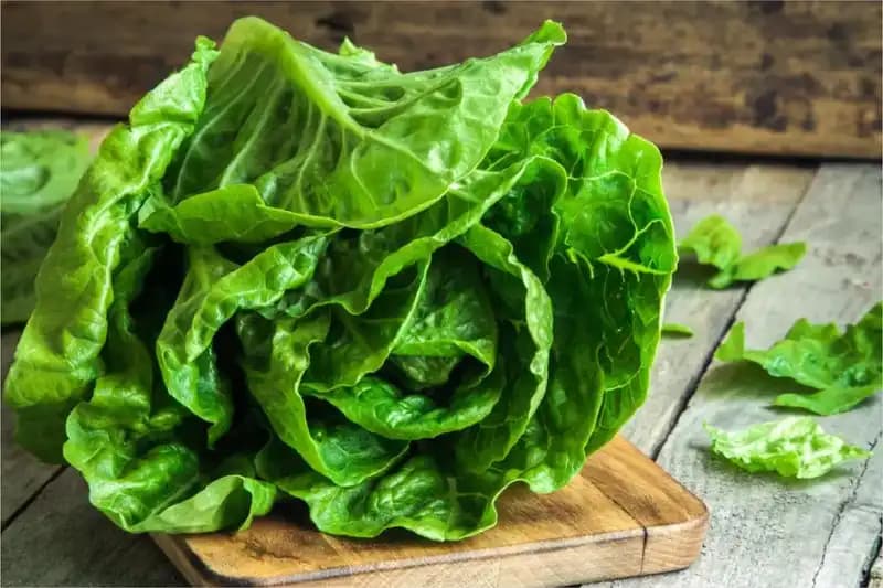 Leafy Green